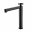 Grifo lavabo alto monomando Olimpo negro mate de Imex